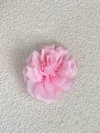 Diana Spilla a fiore