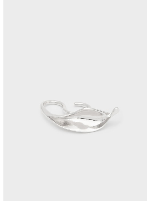 Anello NALI