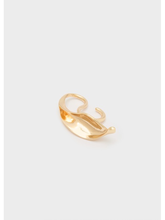 Anello NALI